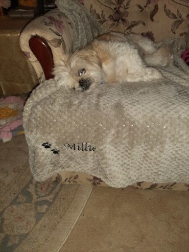 Millie (originally Mildred) - Adoption Story