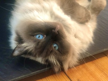 Tuna “Tunie” - Adoption Story