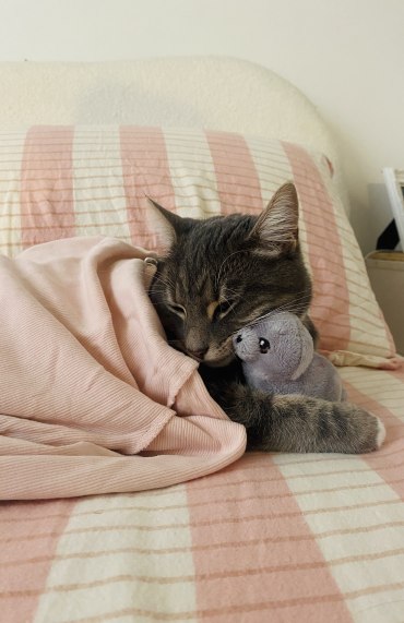 Possum ✨ - Adoption Story