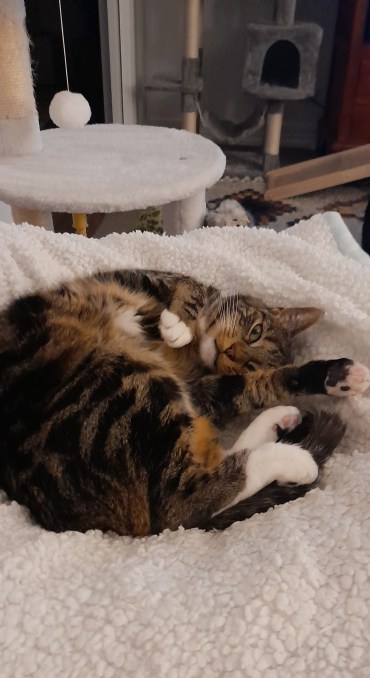 Myrtle - Adoption Story