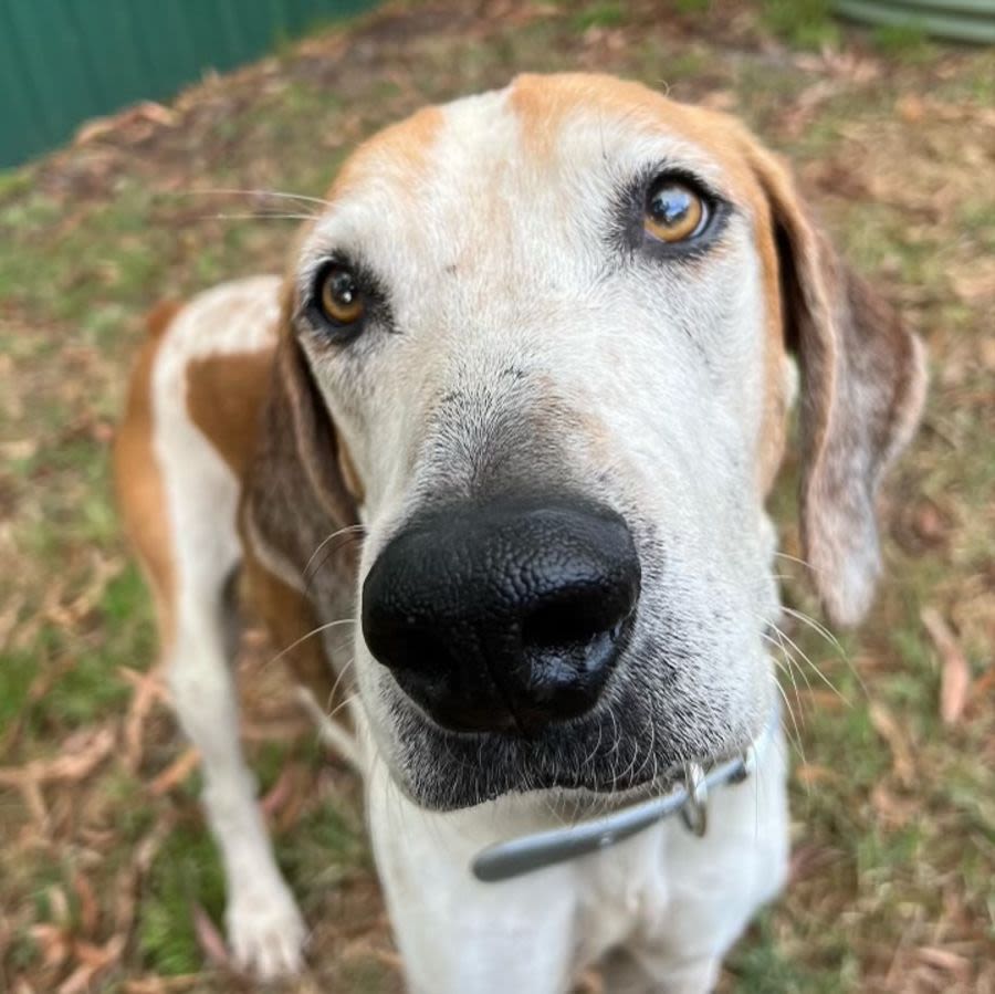 Photo of Shaun & Ben