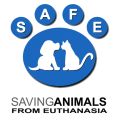 SAFE Port Hedland (Saving Animals From Euthanasia)