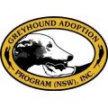 Greyhound Adoption Program NSW