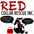 Red Collar Rescue Inc