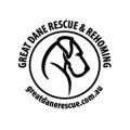 Great Dane Rescue & Rehoming