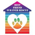 Best Friend Fur Ever Rescue
