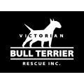 Victorian Bull Terrier Rescue