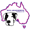 Bull Arab Rescue Australia Ltd