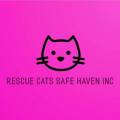 Rescue Cat Safe Haven