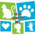The Not Forgotten Ones