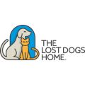 The Lost Dogs' Home - North Melbourne