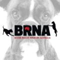 Boxer Rescue Network