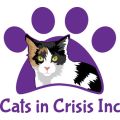 Cats in Crisis