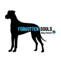 Forgotten Souls Dog Rescue