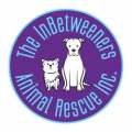 The Inbetweeners Animal Rescue Inc