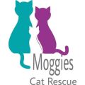 Moggies Cat Rescue Ltd 