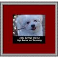 Hope Springs Eternal Dog Rescue & Rehoming