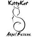 KittyKat Angel Rescue