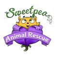 Sweet Pea Animal Hospital