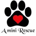 A Mini Rescue