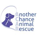 Another Chance Animal Rescue