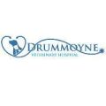 Drummoyne Veterinary Hospital