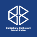 Canterbury Bankstown Animal Shelter