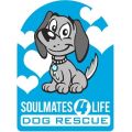 Soulmates 4 Life Dog Rescue