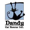 Dandy Cat Rescue