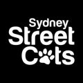 Sydney Street Cats