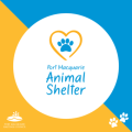 Port Macquarie Animal Shelter