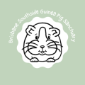Brisbane Southside Guinea Pig Sanctuary 