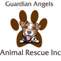 Guardian Angels Animal Rescue Incorporated