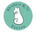 Whiskers & Co Rescue