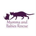 Mumma and Babies Rescue