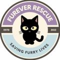Furever Rescue