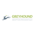 Greyhound Adoption Program QLD