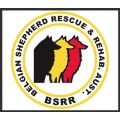 Belgian Shepherd Rescue and Rehab