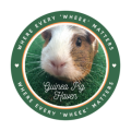 Guinea Pig Haven