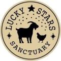 Lucky Stars Sanctuary