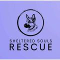 Sheltered Souls Rescue 