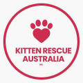Kitten Rescue Australia 