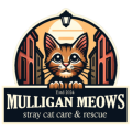 Mulligan Meows 