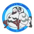 Freckle's Fellowship Pigeon Rescue
