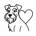 Schnauzer Rescue Qld Inc