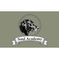 Soul Academy Veterinary Hospice