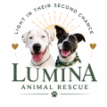 Lumina Animal Rescue
