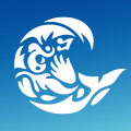 Northern Beaches Council