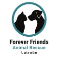 Forever Friends Animal Rescue Latrobe