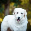 Photo of Wilma